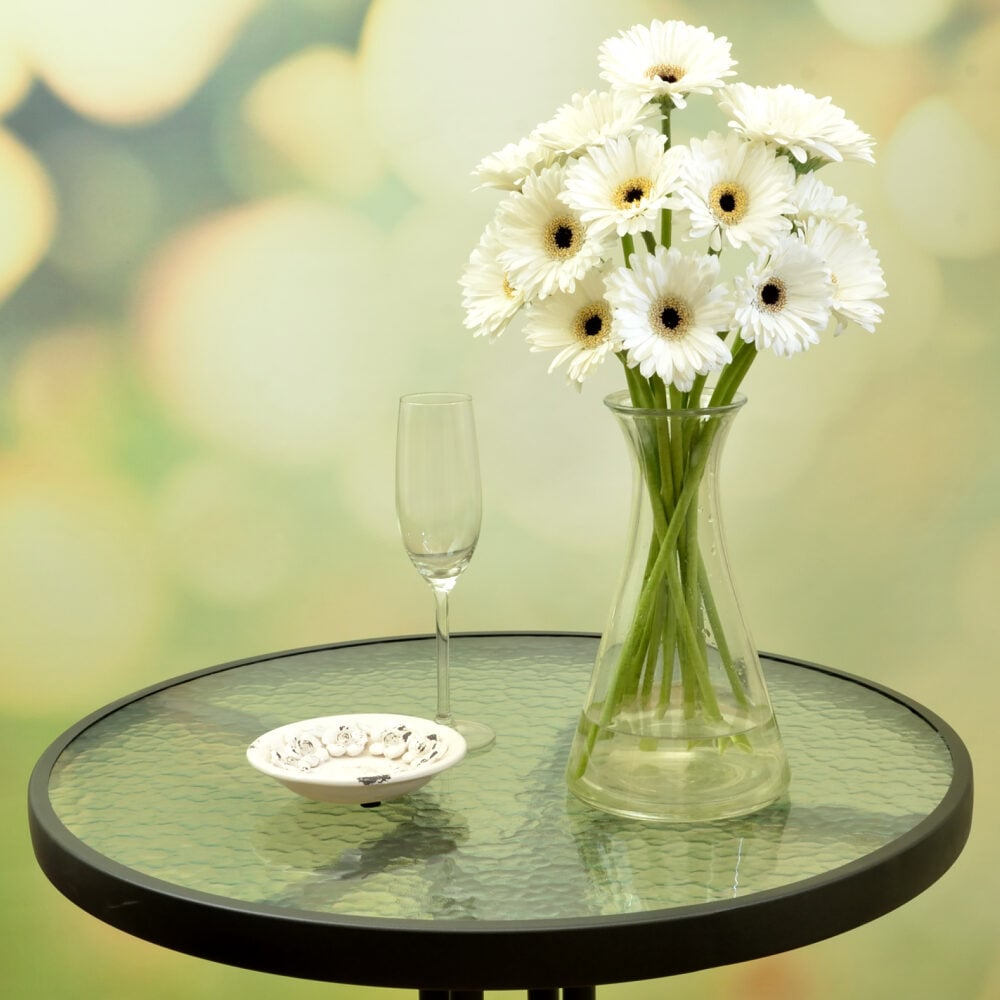 white gerbera