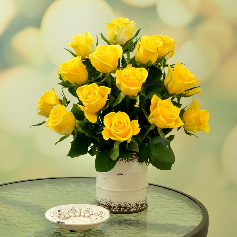 yellow roses