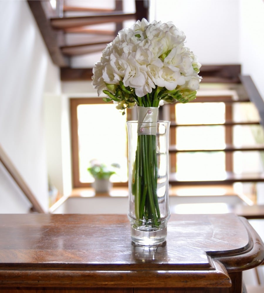 white freesia