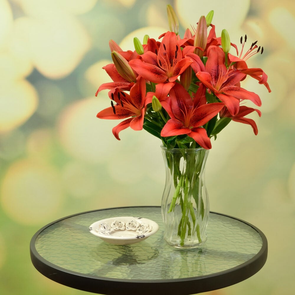red lilies