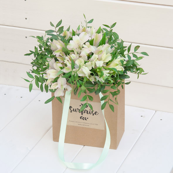 White Alstroemeria (11 branches)
