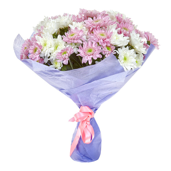 Mixed Chrysantemums