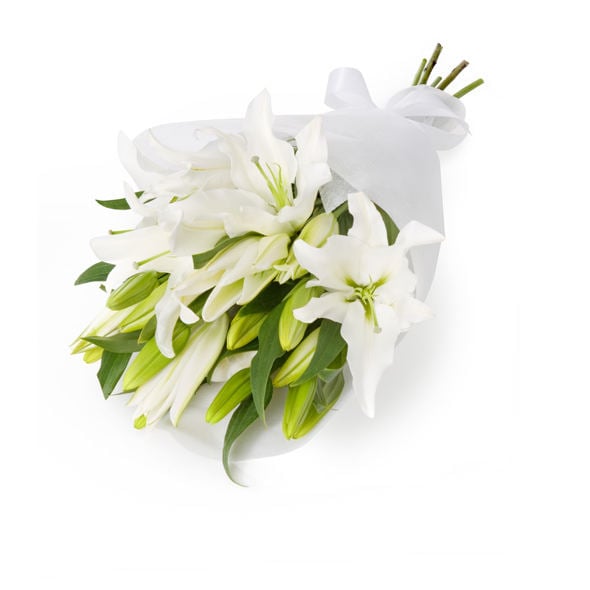 White lilies