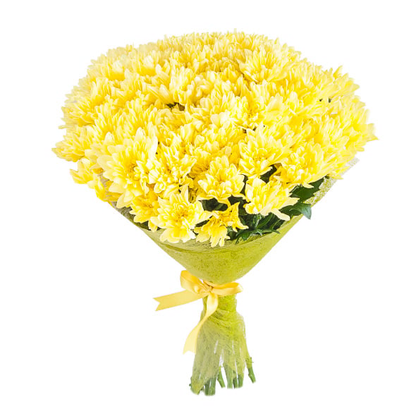 Yellow Chrysanthemum
