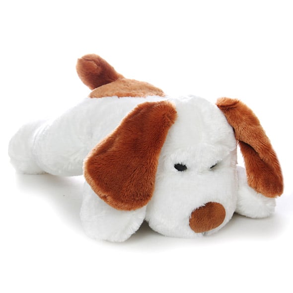 The pawl (30 cm)