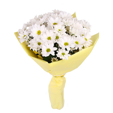Chrysanthemum Flowers (9 branches)